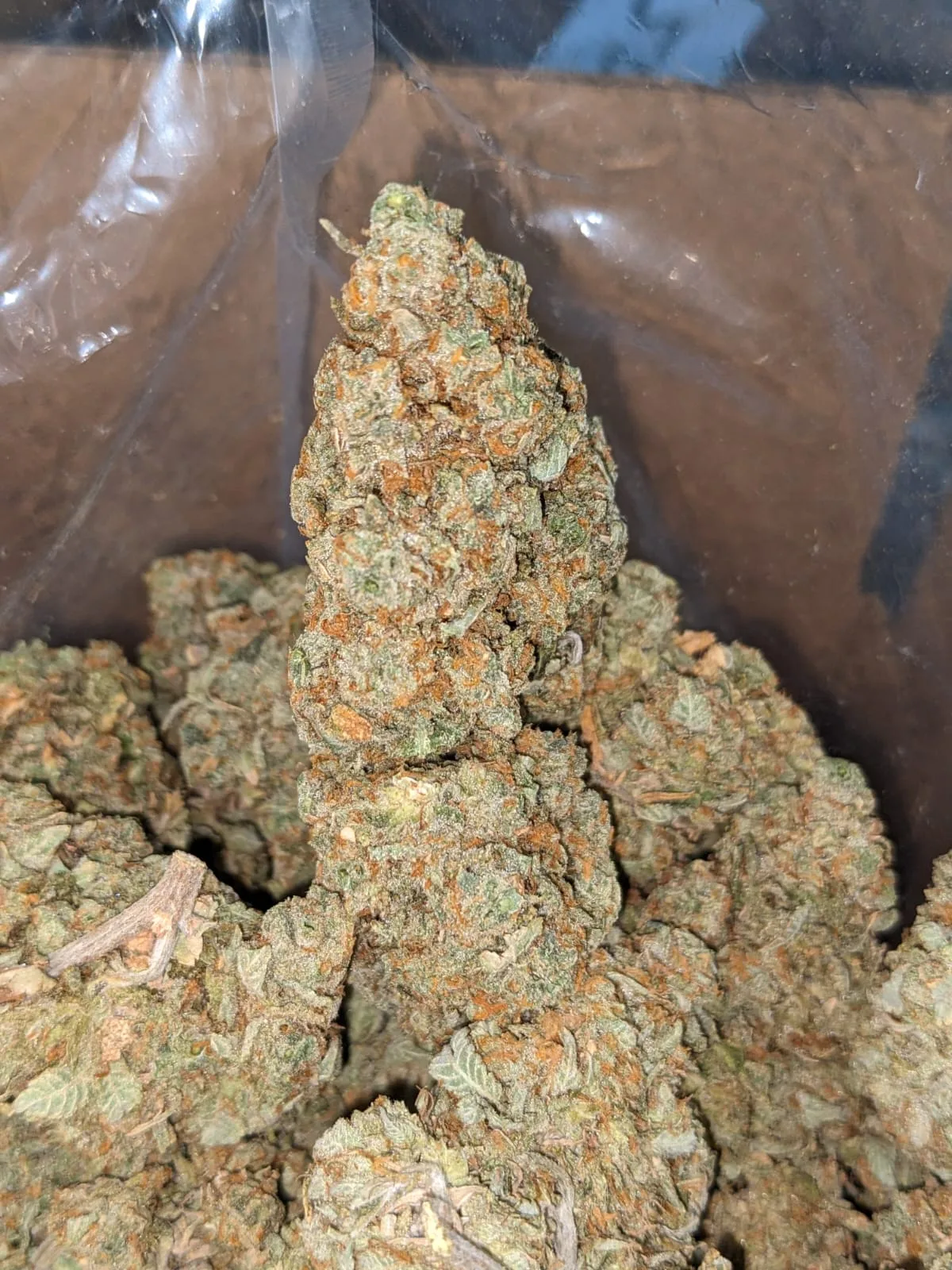 Cinnimint - Image 5