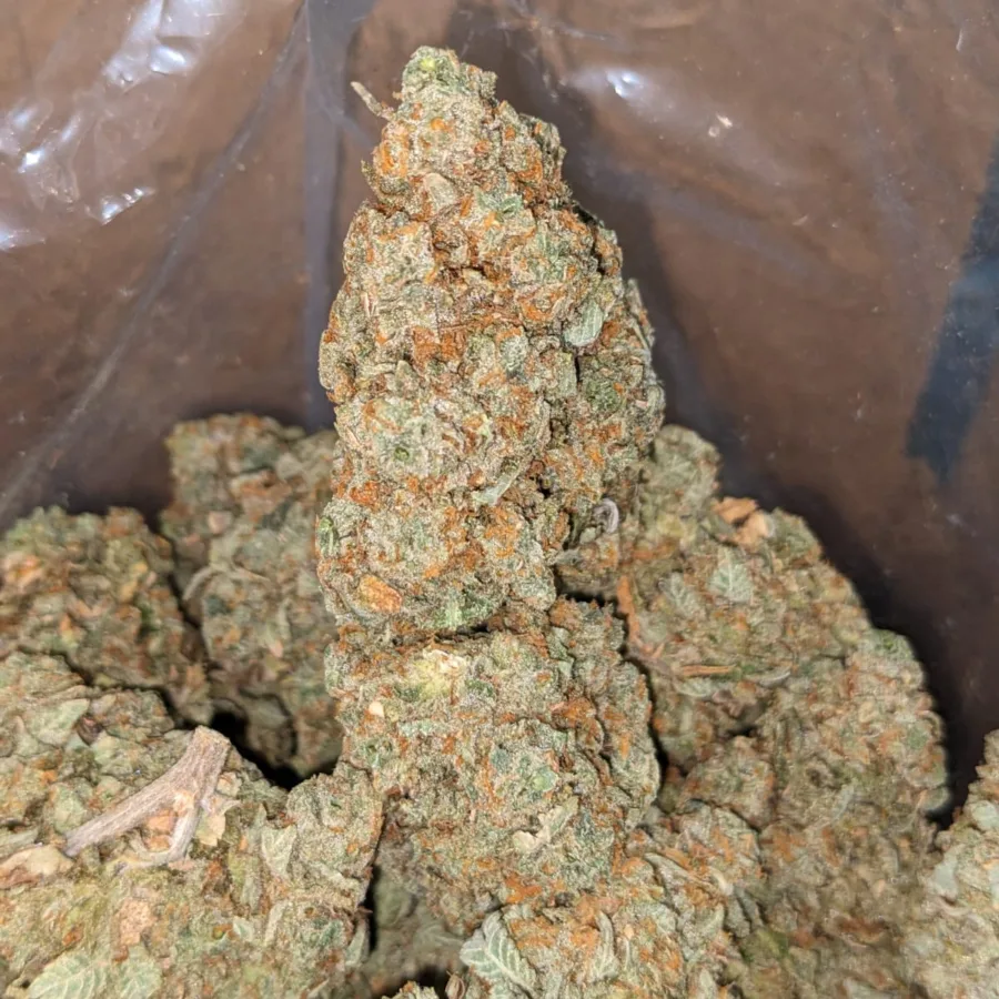 Cinnimint - Image 4