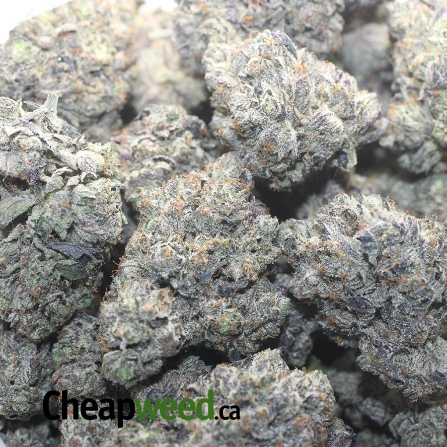 Death Bubba AAAA - Image 3
