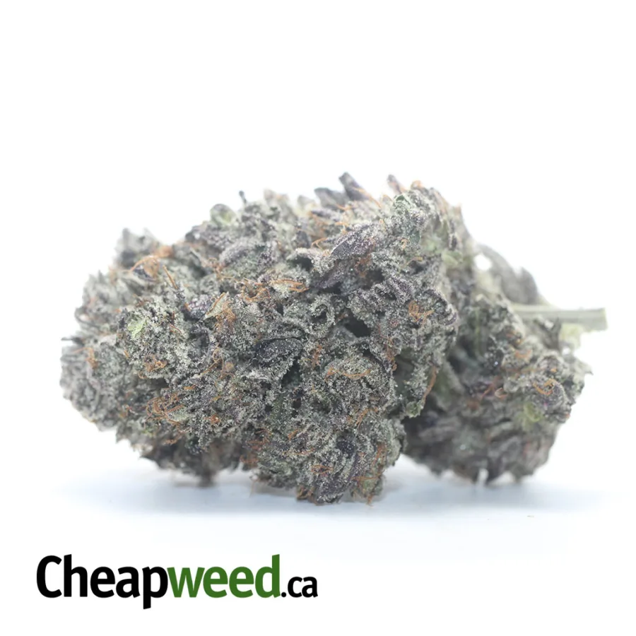 Death Bubba AAAA