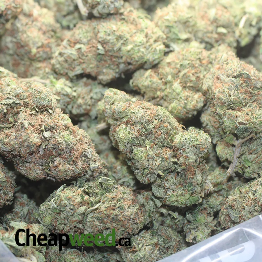 $57oz Death Bubba - Image 3
