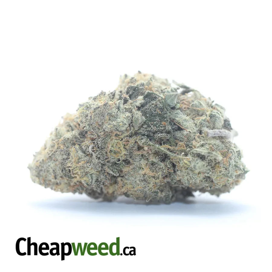 Ghost Train Haze