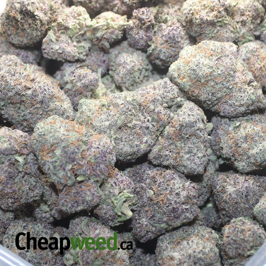 God's Green Crack - Image 3