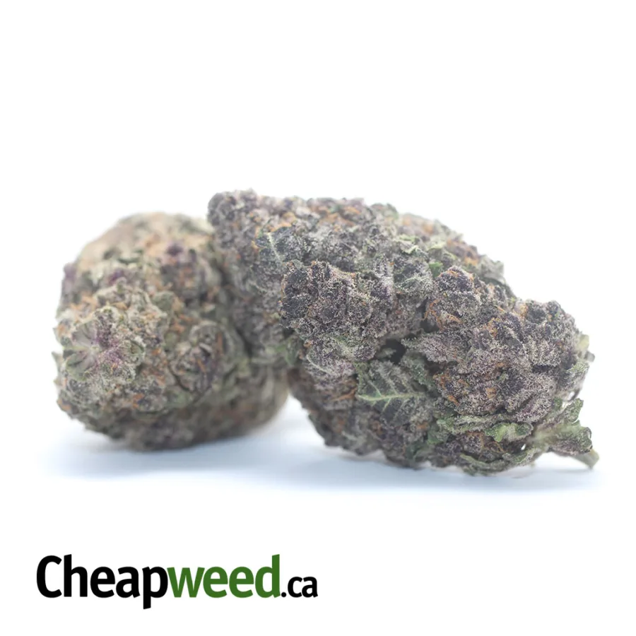 Alternative view of Granddaddy Purple