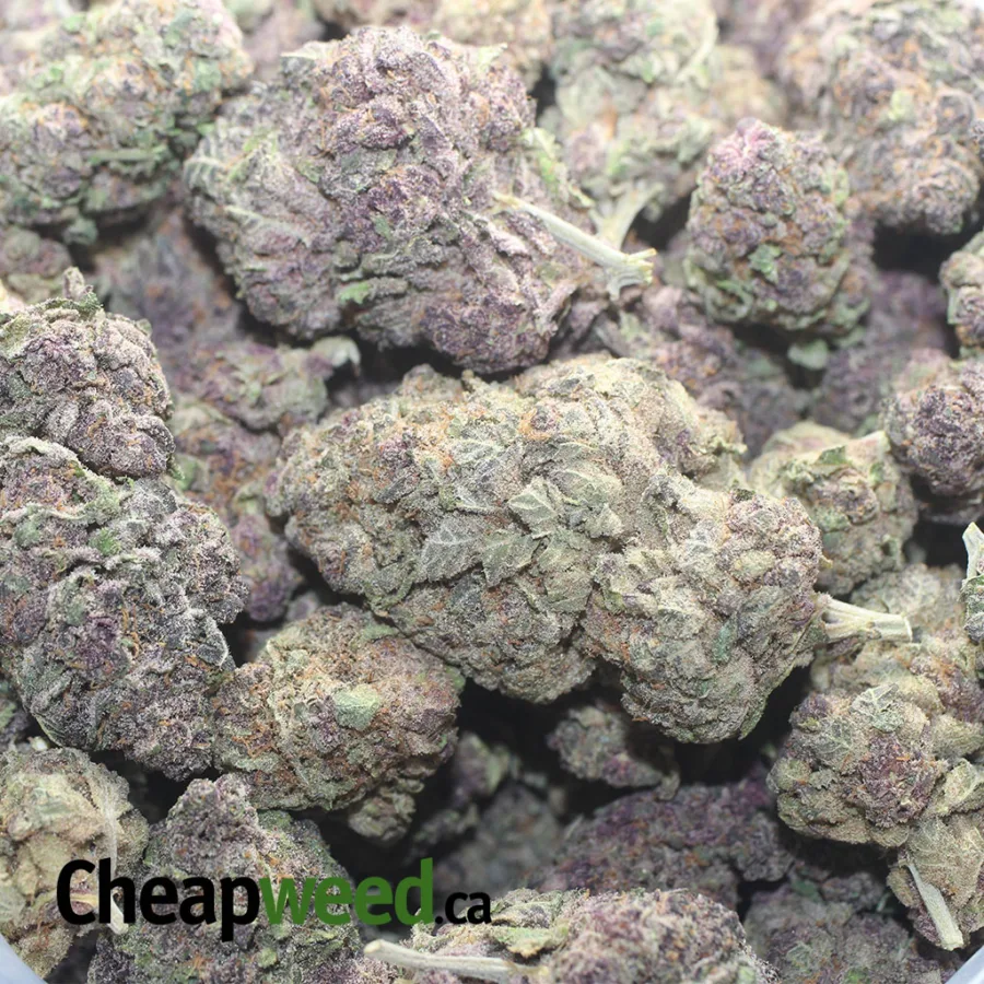 Granddaddy Purple - Image 3