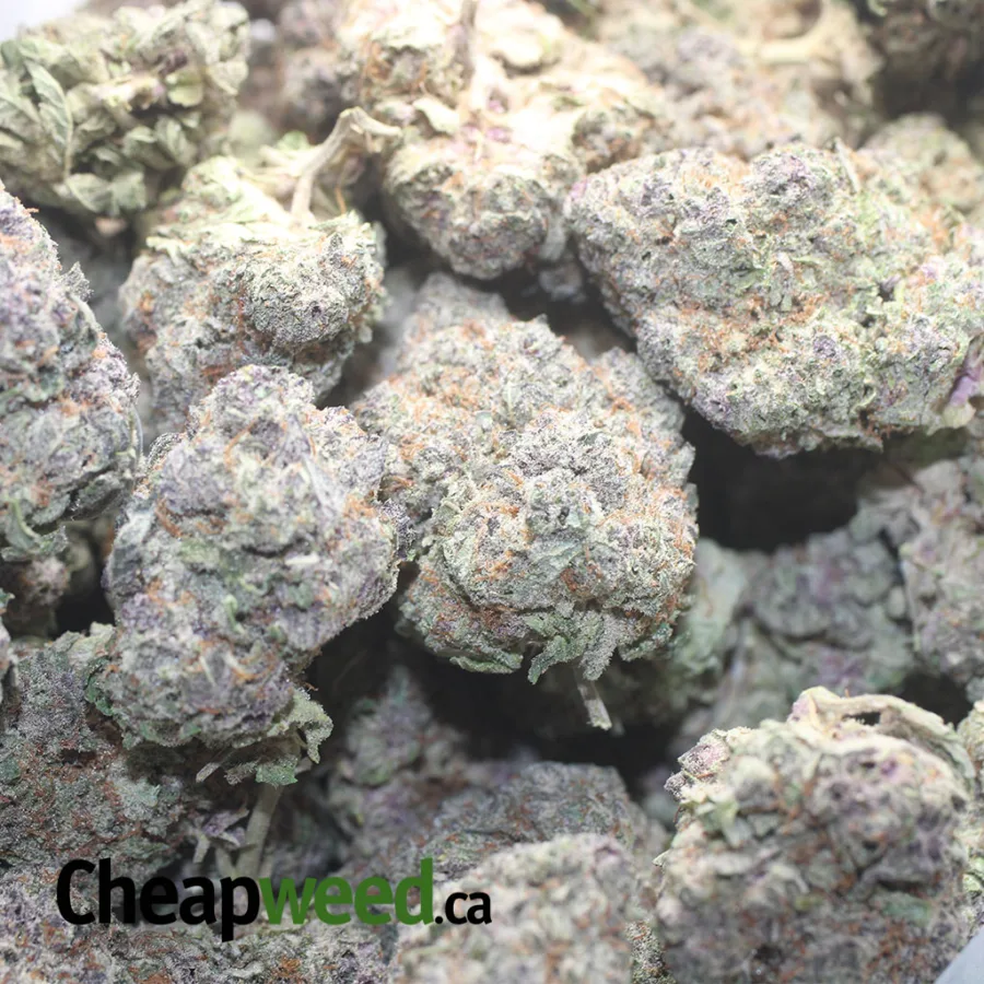 Grape Soda - Image 3