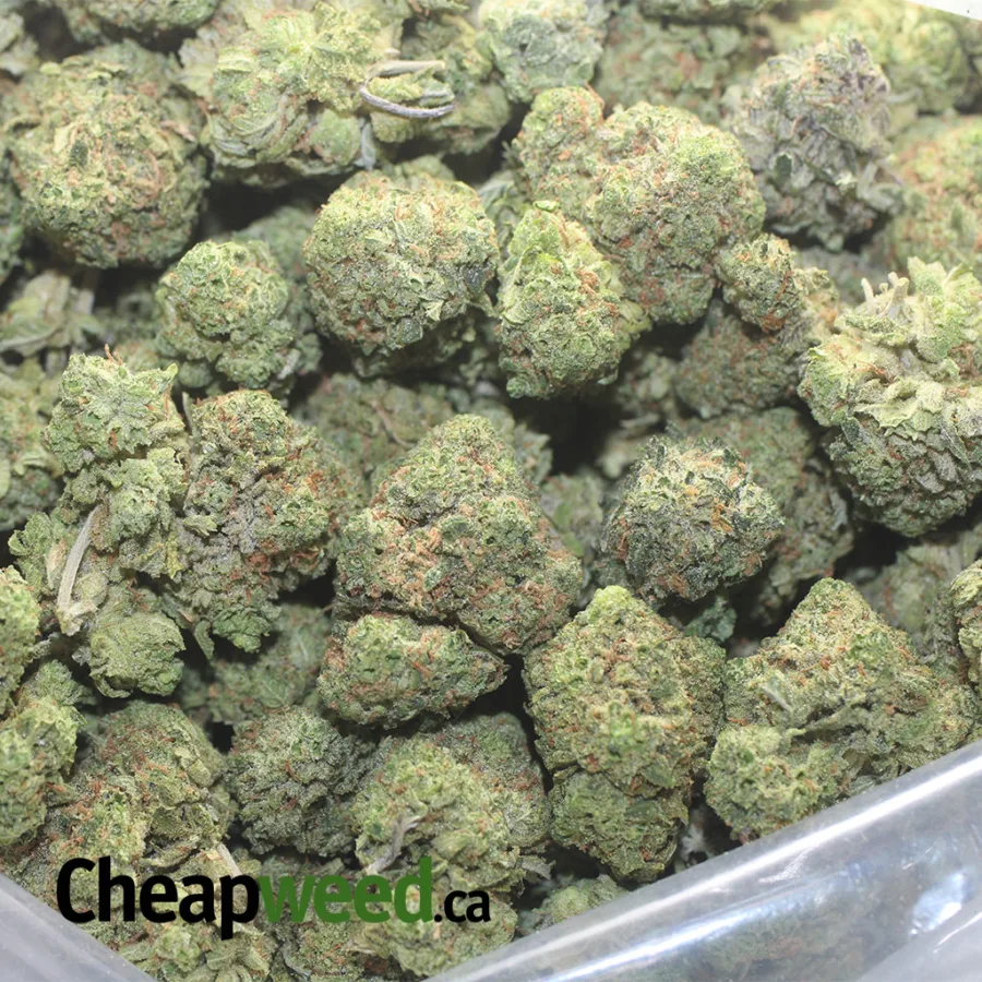 Green Goblin - Image 3