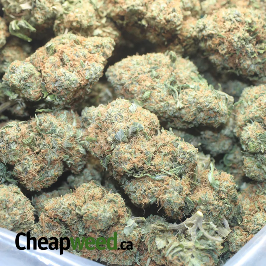 Hindu Kush - Image 3