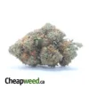 Hindu Kush