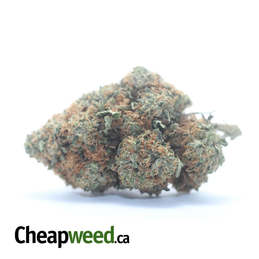 Hindu Kush