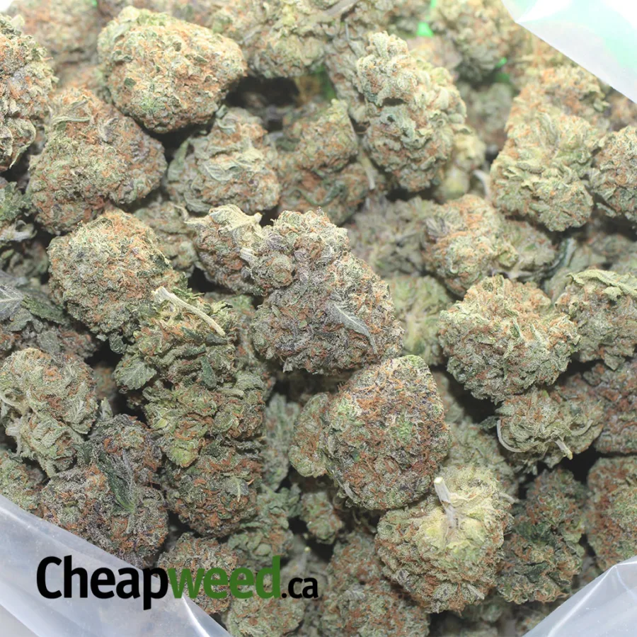 Kush Breath - Image 3