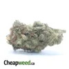 Northern Lights