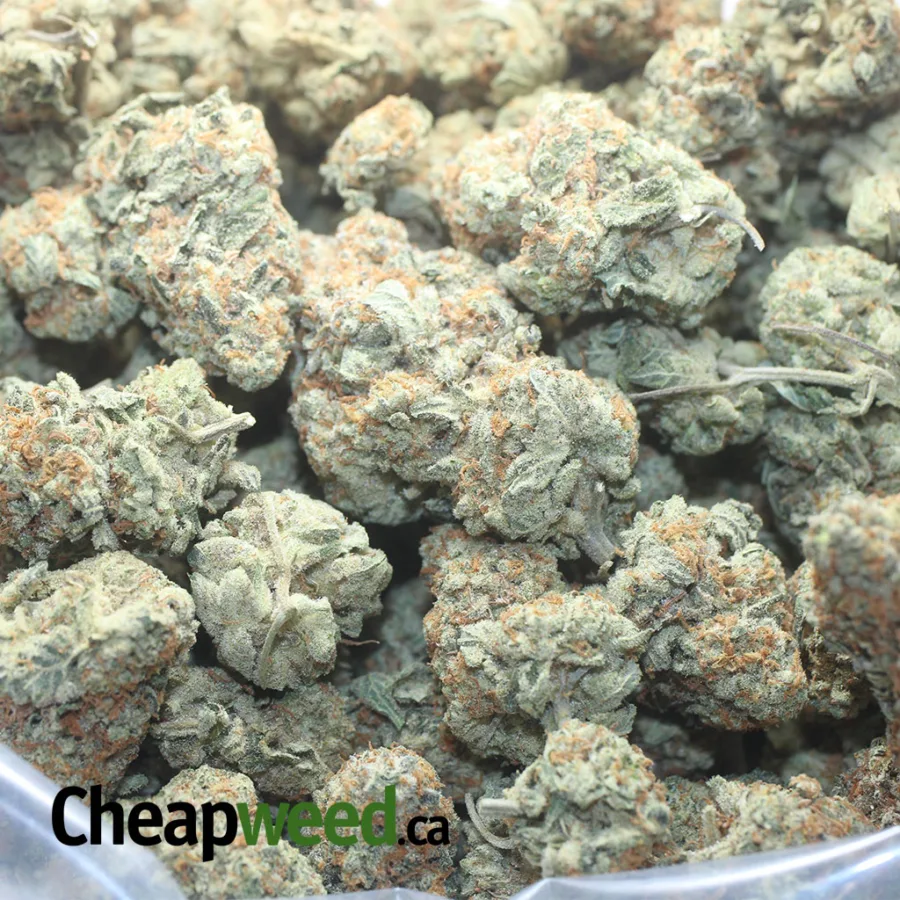 Original Haze - Image 3