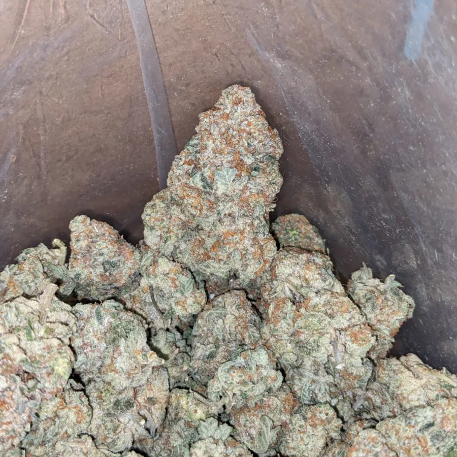 Alternative view of Original Haze