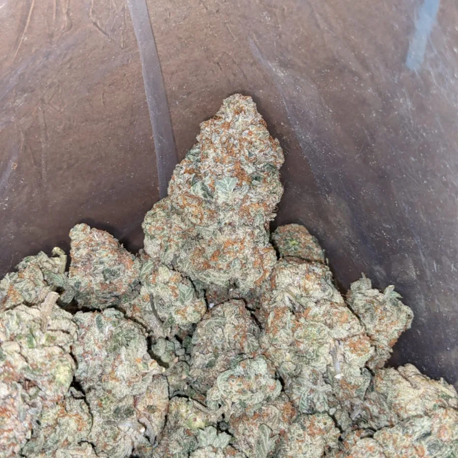 Original Haze - Image 4