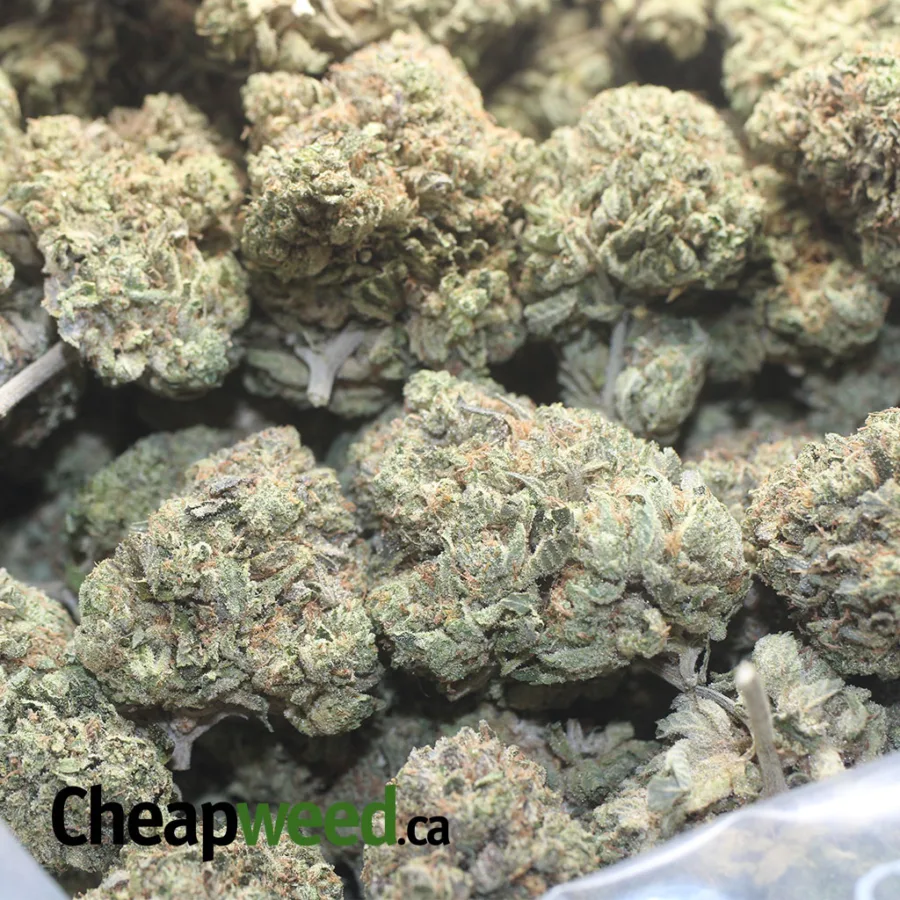 Pink Kush - Image 3