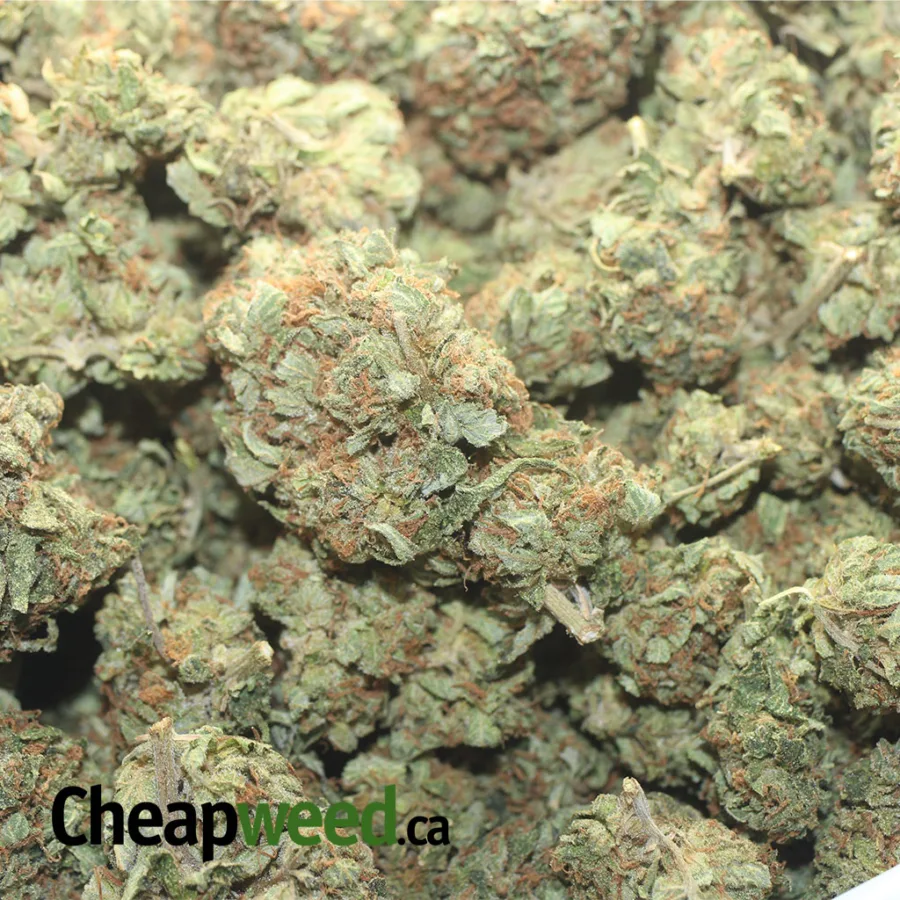 $47oz Pink OG - Image 3