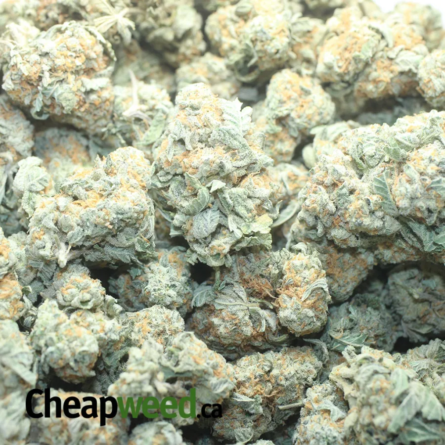 Pot Of Gold - Image 3