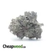 Purple Rockstar