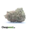 Rockstar Bubba