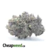 Skywalker