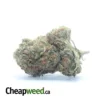 Tony's MK Ultra