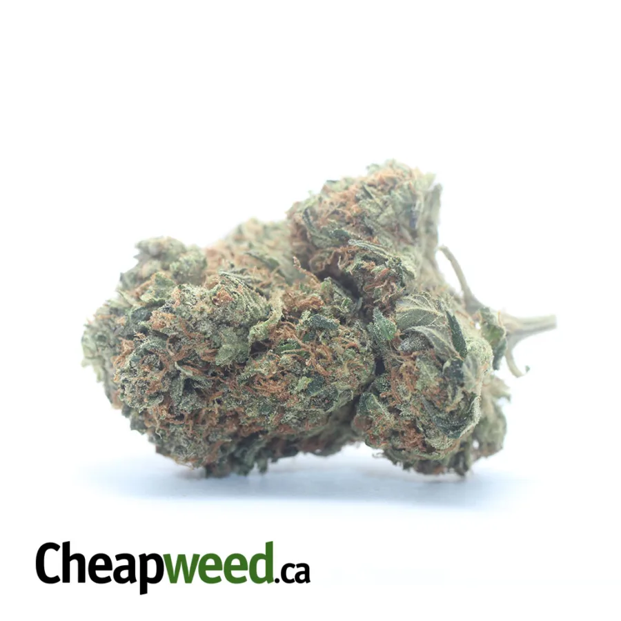 Tony's MK Ultra